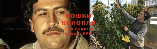 стаф Бронницы