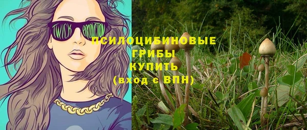 дживик Богородицк