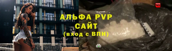 дживик Богородицк