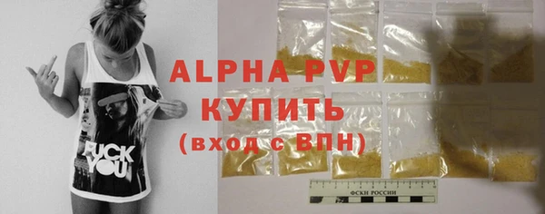 дживик Богородицк