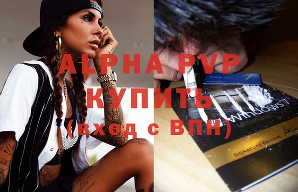 стаф Бронницы
