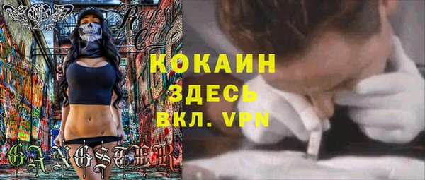 стаф Бронницы