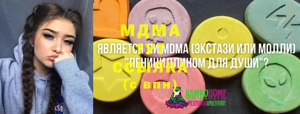 дживик Богородицк